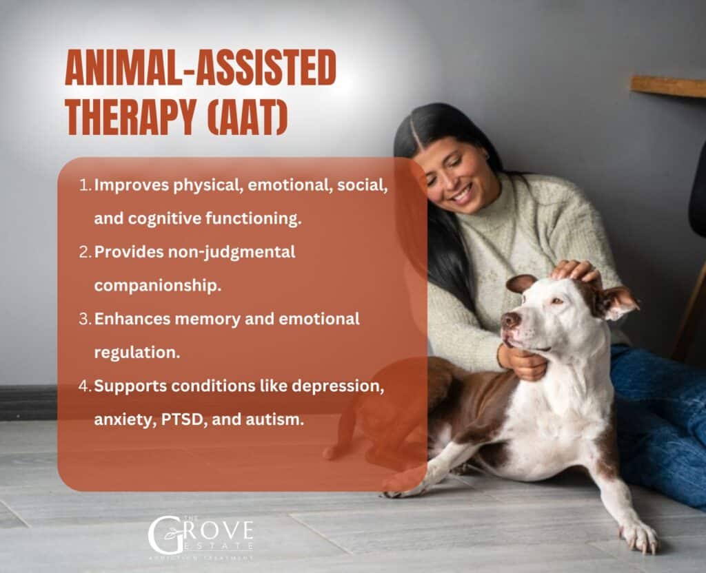 Animal Therapy
