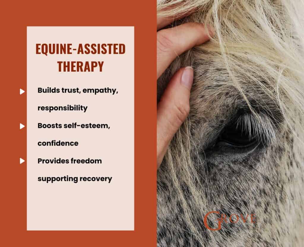 Equine-Assisted Therapy