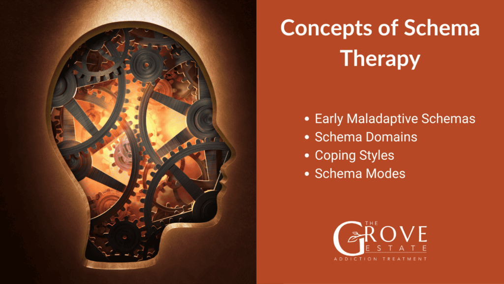 Concepts of Schema Therapy