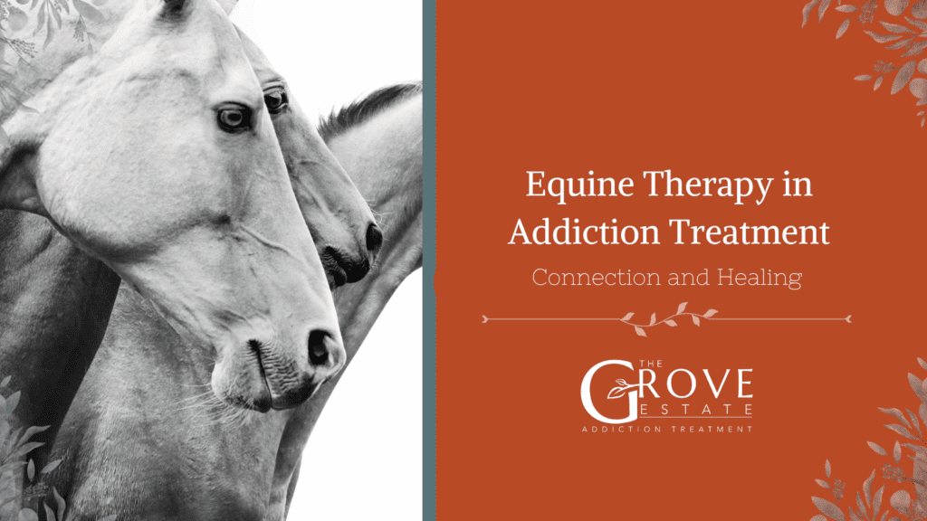 Black and white photo of 3 horses (Equine Therapy)
