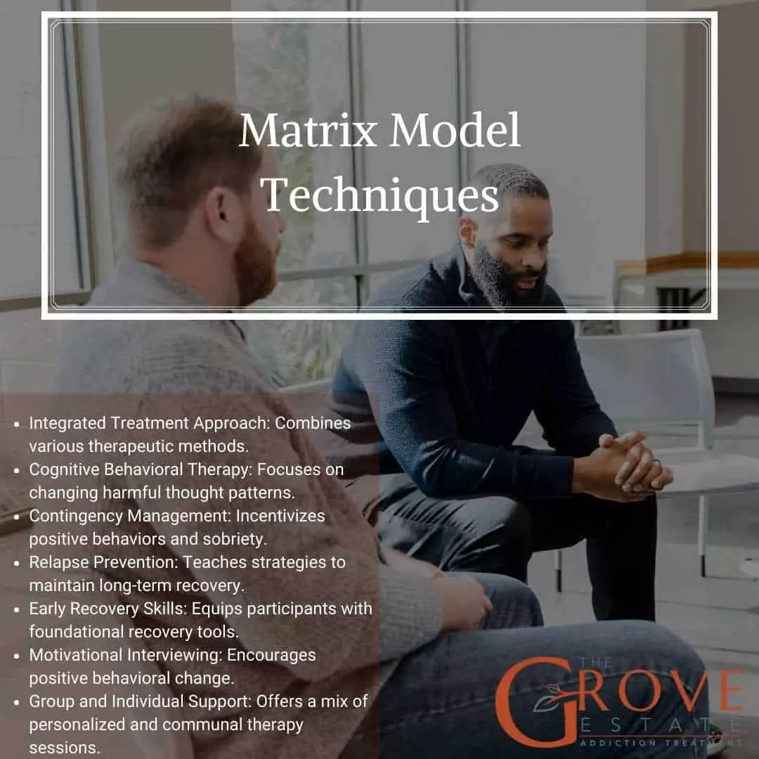 Matrix Model Addiction Treatment Plan and Curriculum