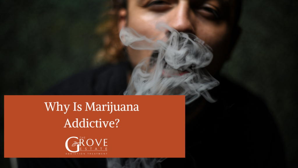 Why Is Marijuana Addictive?