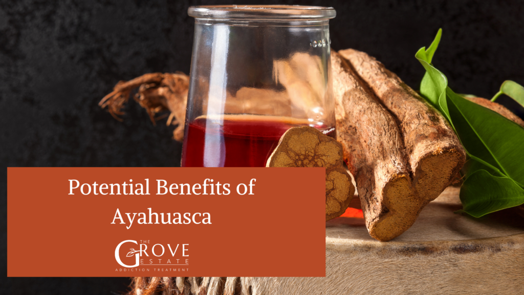 Potential Benefits of Ayahuasca
