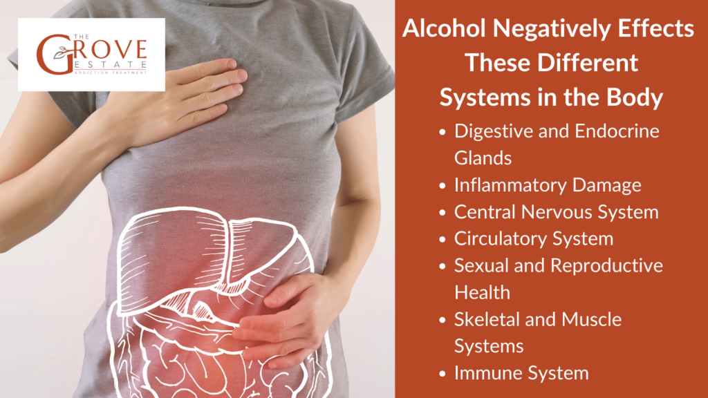 Alcohol Negatively Effects
