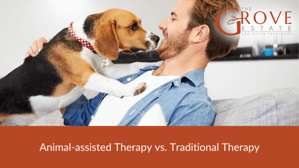 Animal-assisted Therapy Compare to Traditional Therapy