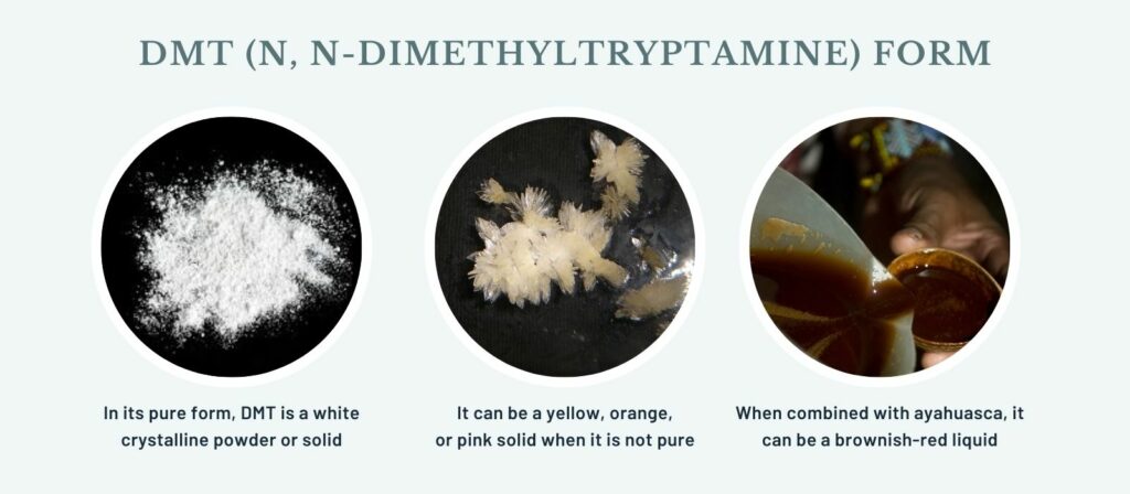 DMT-N-N-Dimethyltryptamine-form-1024x448