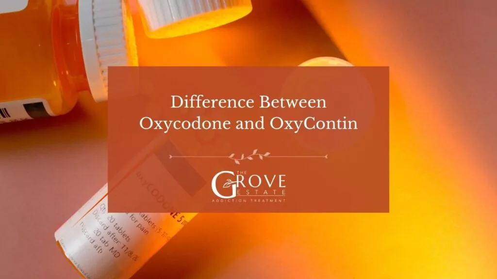 Difference Between Oxycodone and OxyContin