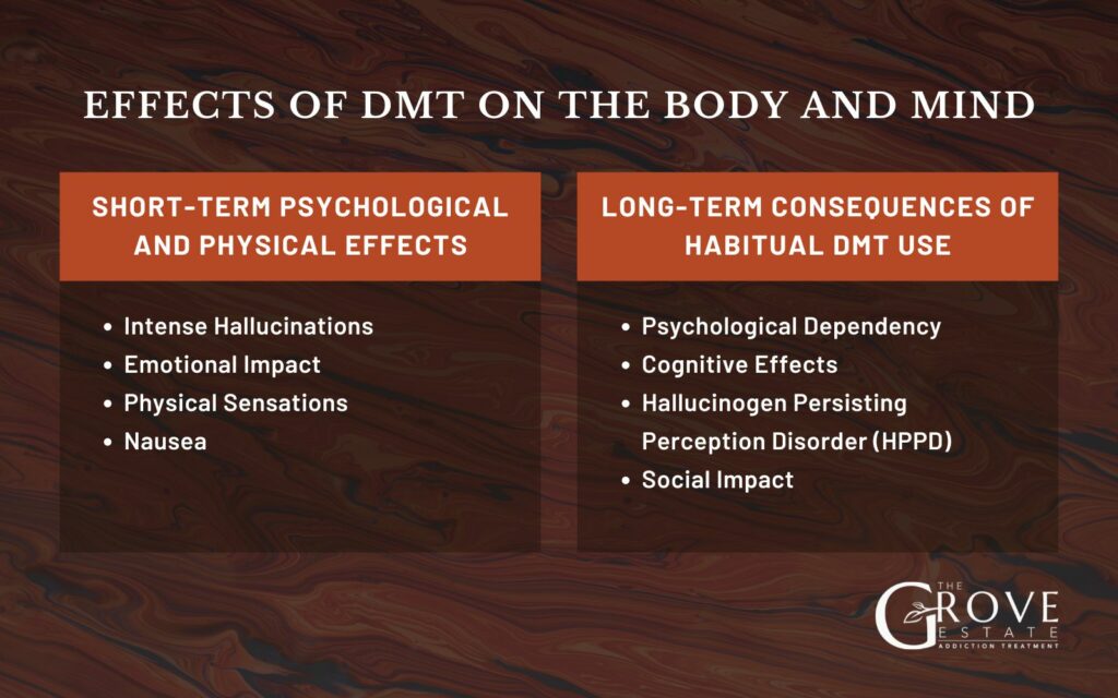 Effects-of-DMT-on-the-Body-and-Mind-1024x640