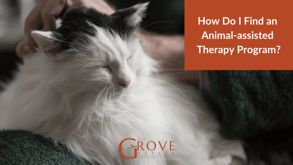 How Do I Find an Animal-assisted Therapy Program?