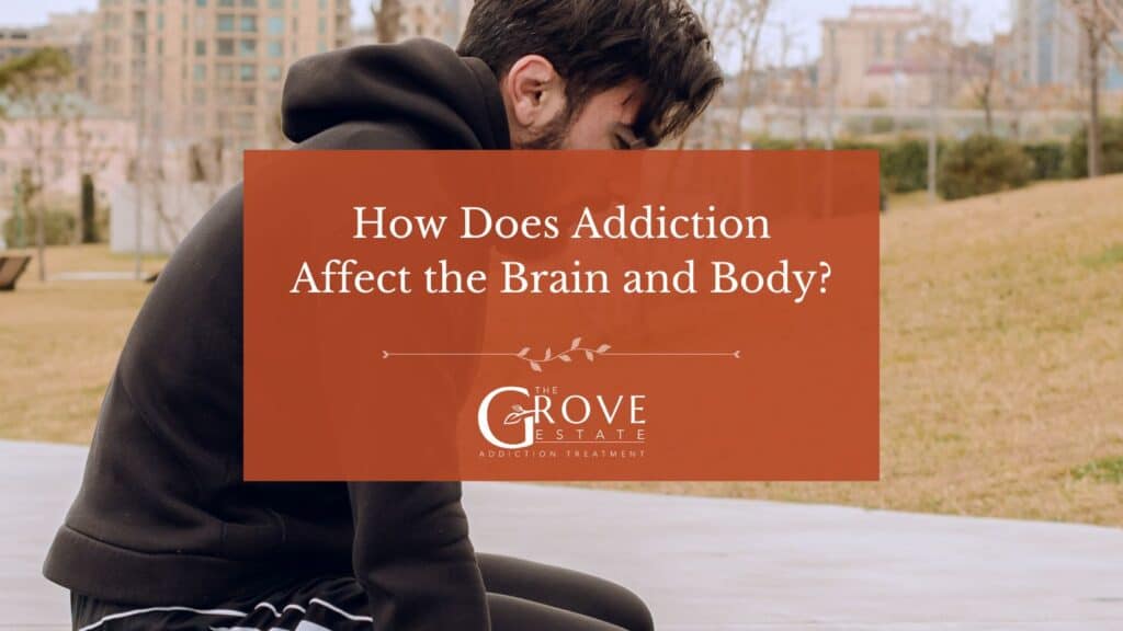 How Does Addiction Affect the Brain and Body