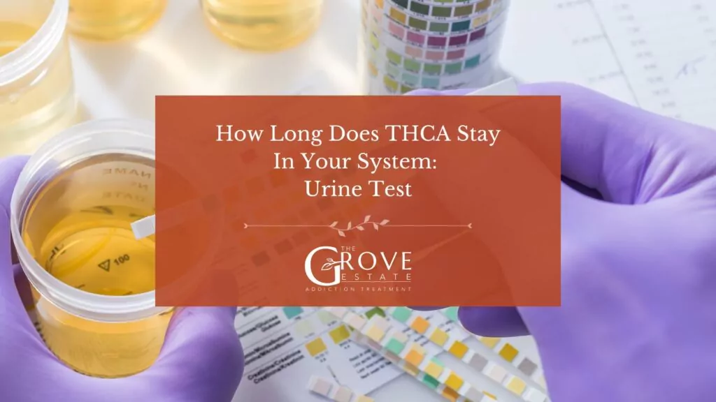How Long Does THCA Stay In Your System Urine Test