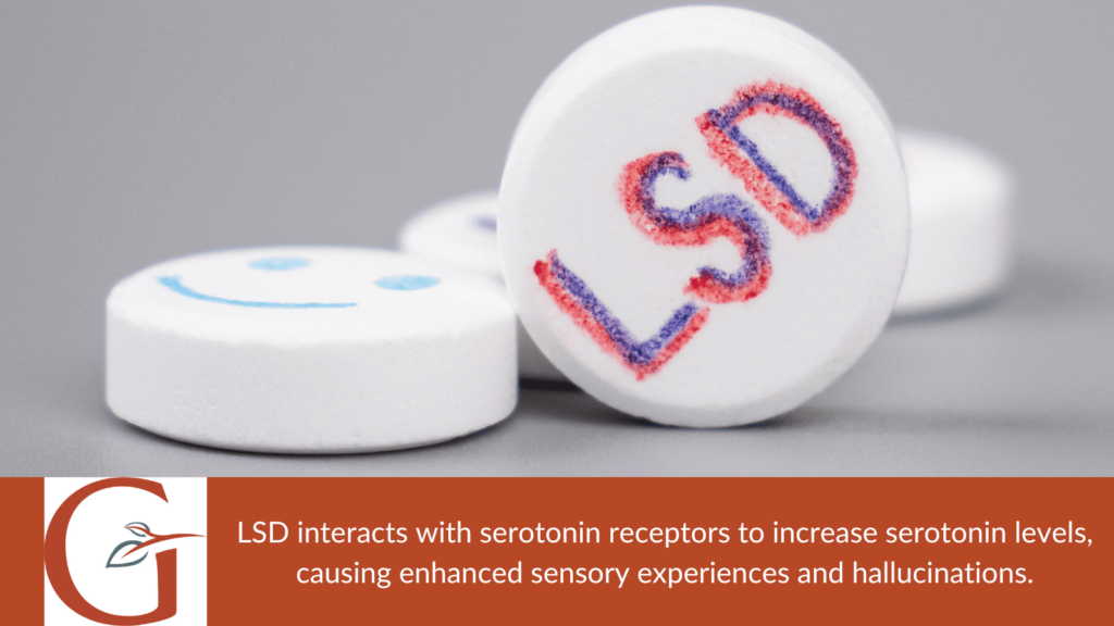 LSD interacts with serotonin
