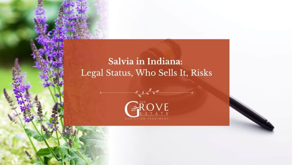 Salvia-in-Indiana-Legal-Status-Who-Sells-It-Risks
