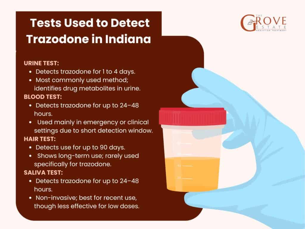 what do vitamins b12 injections do Vitamin B12 Injections: What You Need To Know