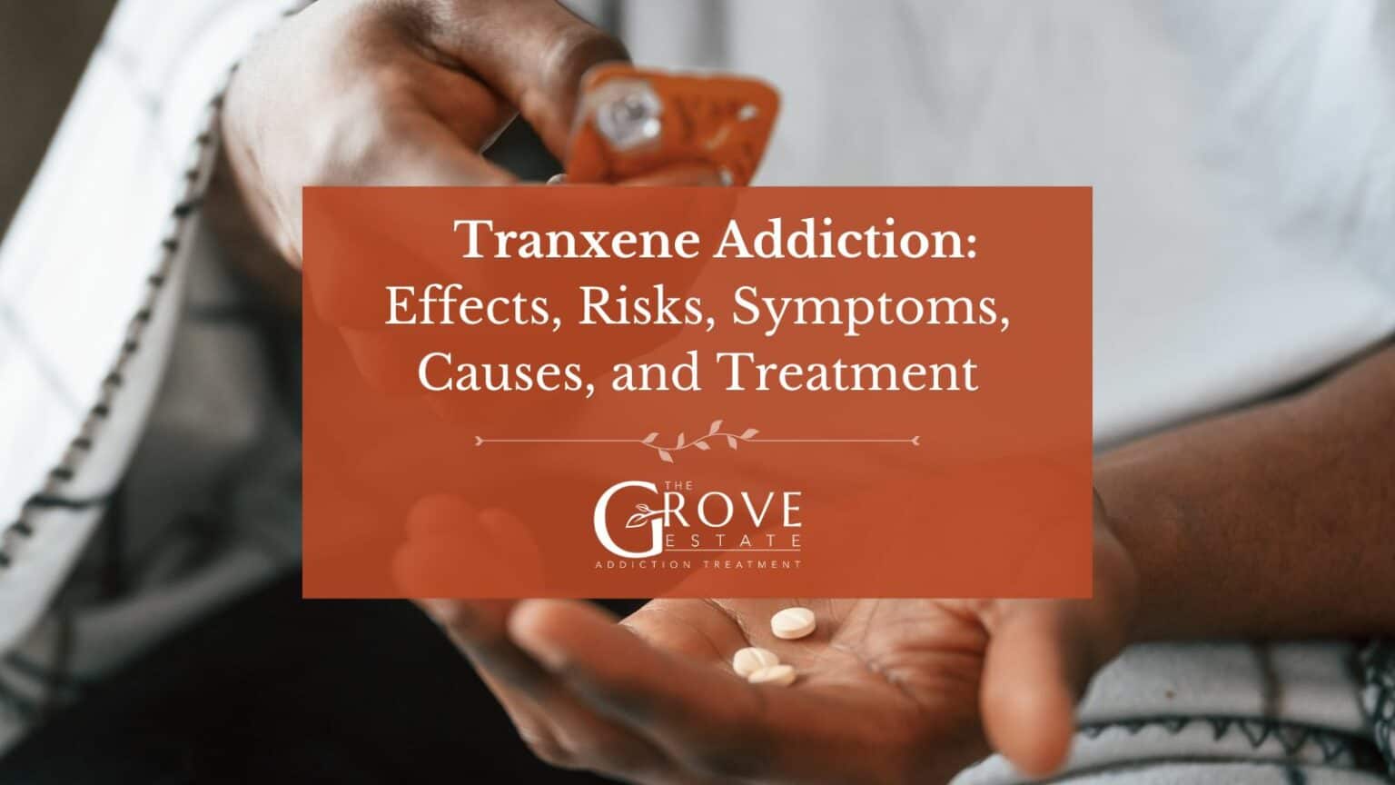 The Effects of Video Games on Mental Health - Clemson University