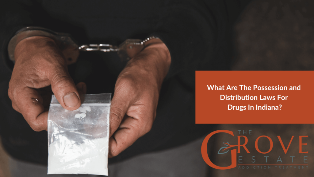 What Are The Possession and Distribution Laws For Drugs Specific to Indiana?