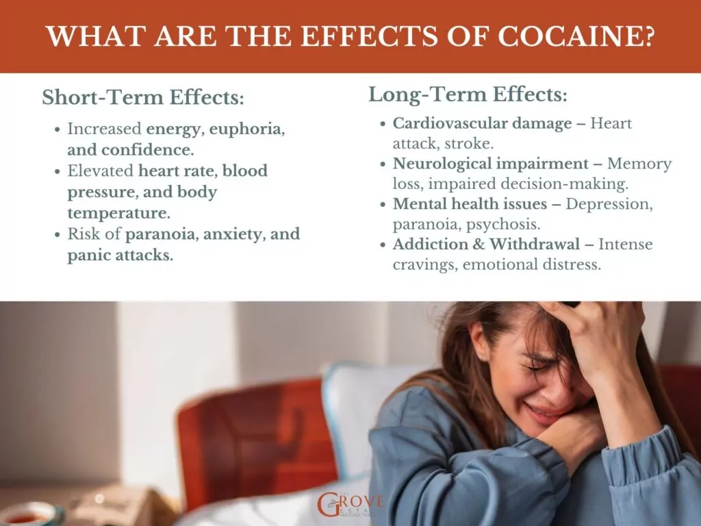 What Are the Effects of Cocaine