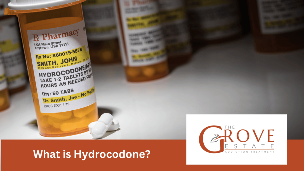 What Is Hydrocodone?