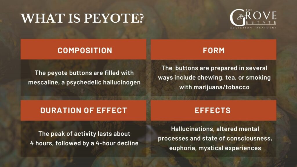 What-is-Peyote-1024x576 