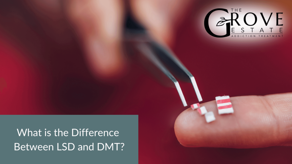 What is the Difference Between LSD and DMT?