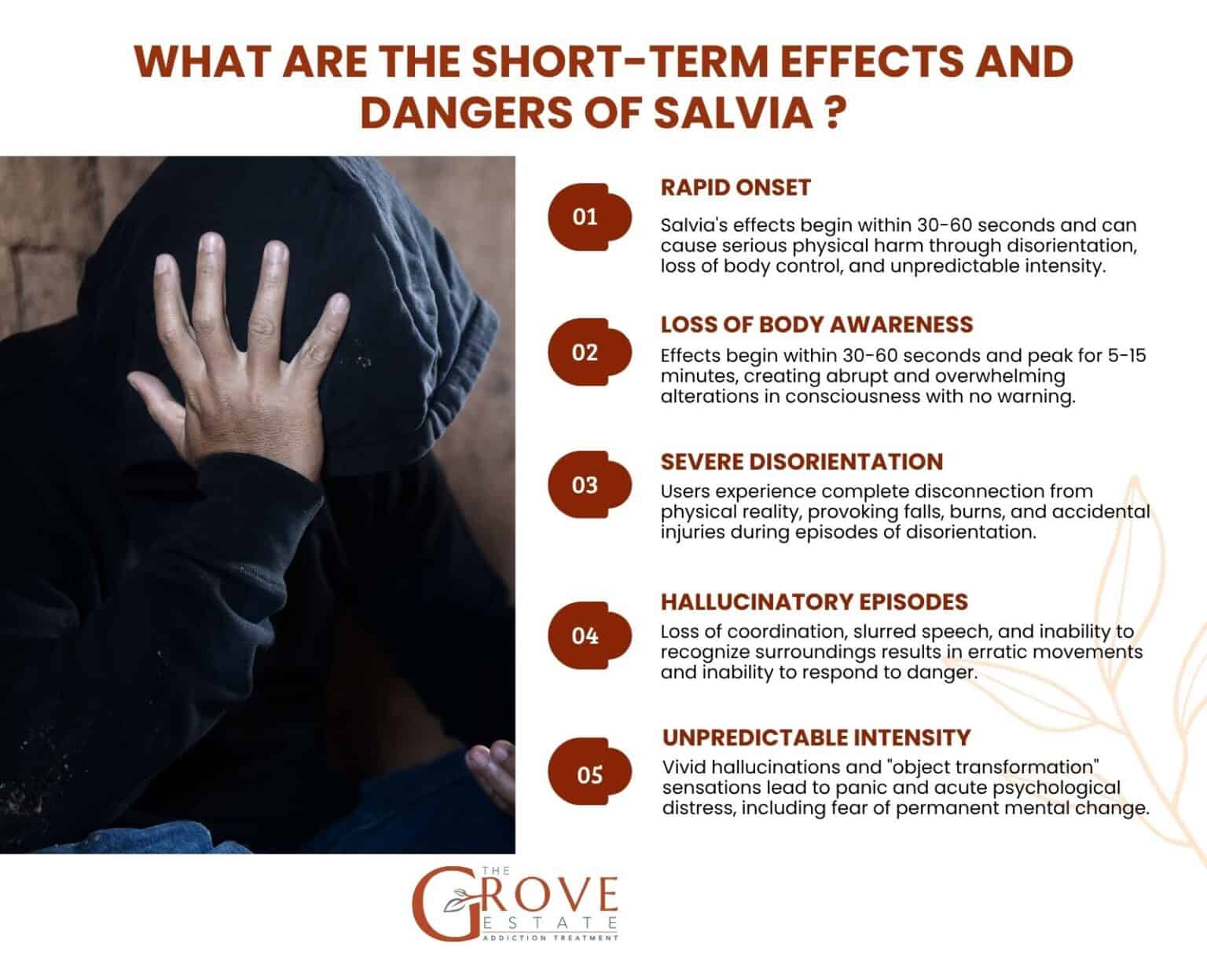 short term effects and danger of Salvia