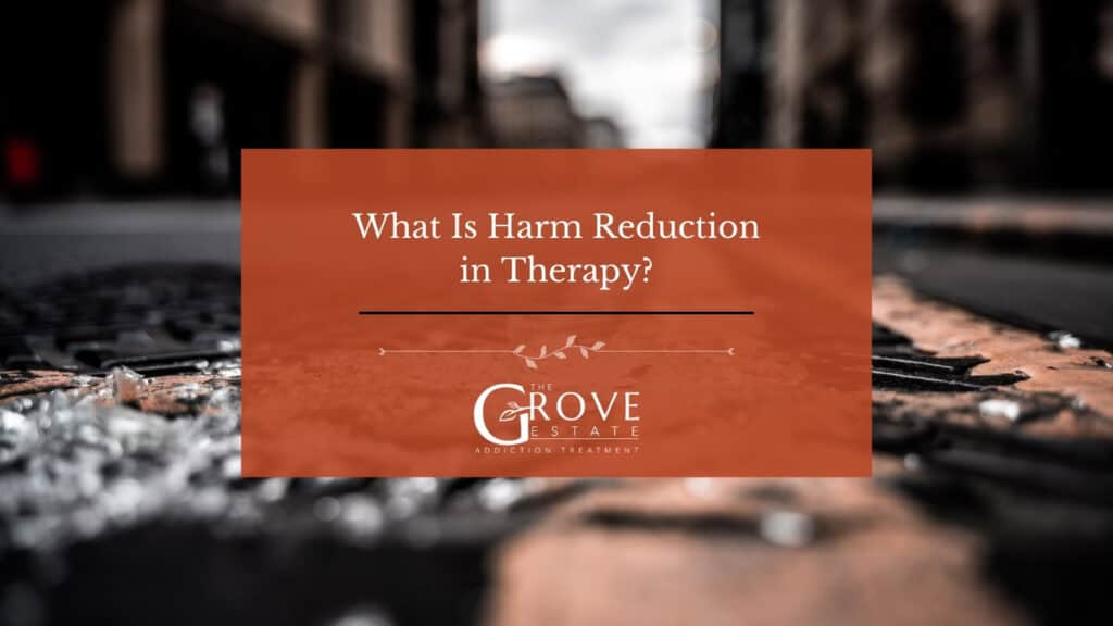 What is harm reduction in therapy, The Grove Estate