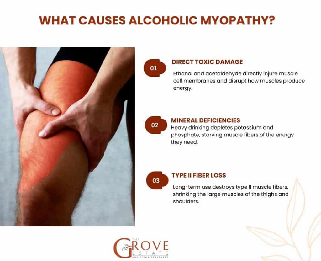 What Causes Alcoholic Myopathy