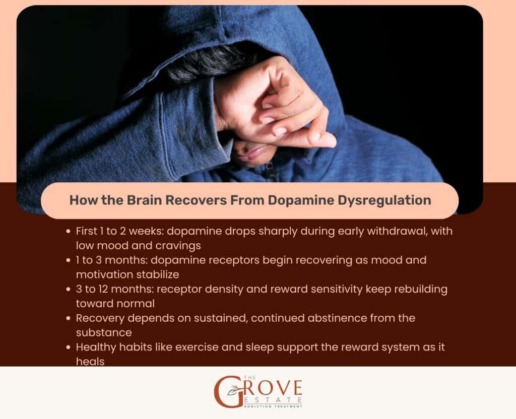 How the Brain Recovers From Dopamine Dysregulation