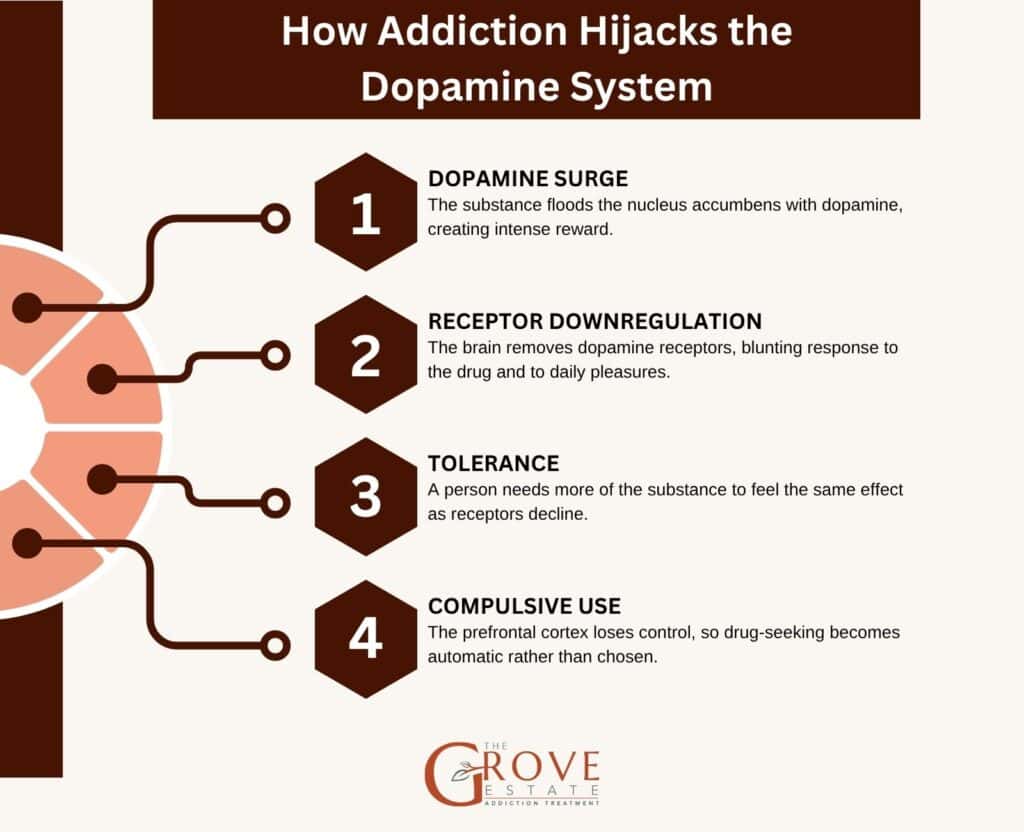 How Addiction Hijacks the Dopamine System
