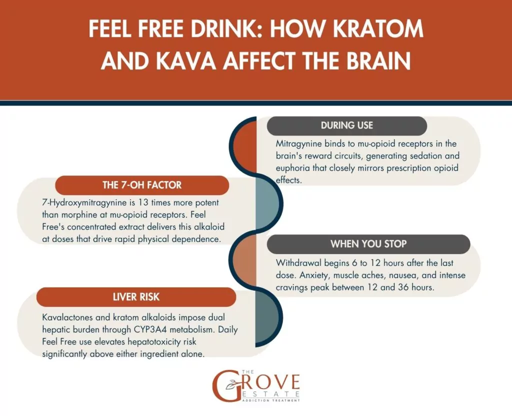 Feel Free drink brain effects 