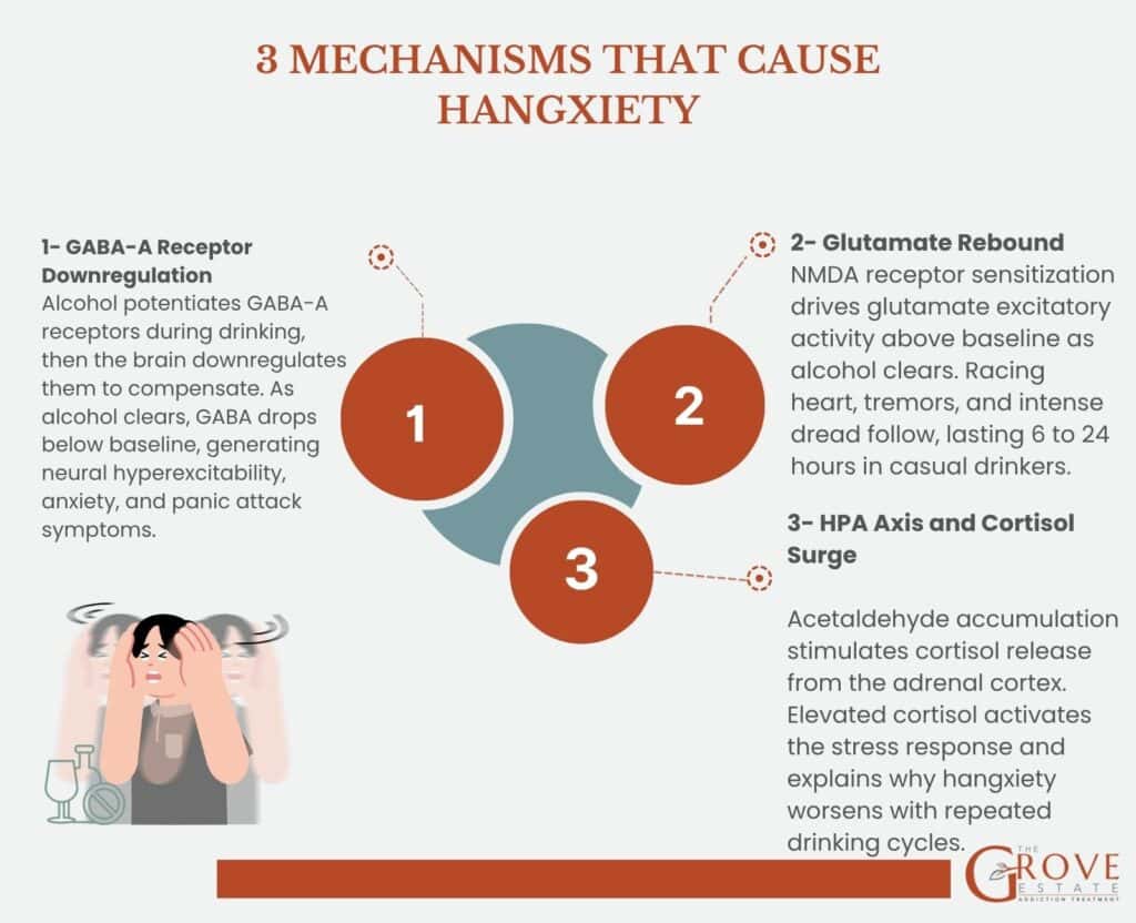 Three mechanisms cause hangxiety after drinking