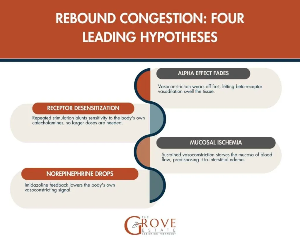 Four leading hypotheses for rebound congestion: alpha effect fades, receptor desensitization, mucosal ischemia and falling norepinephrine