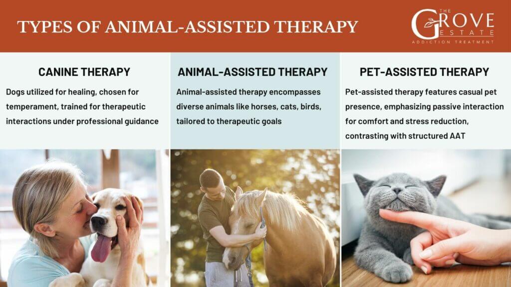 types-of-animal-assisted-therapy-1024x576 